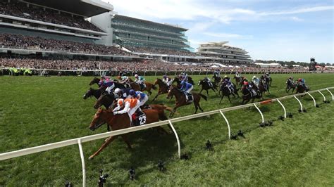 Melbourne Cup 2019 Winner Live Results Vow And Declare Wins Uber Crashes Daily Telegraph
