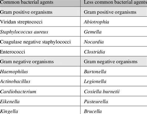 Bacteria Associated With Infective Endocarditis Download Table
