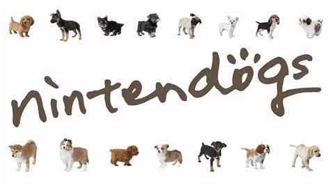 Nintendogs Nintendo Wiki Fandom