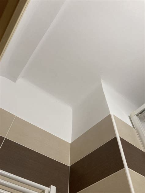 Vous avez subi un dégât des eaux récent et il faut refaire les parties abîmées ? Remise en état d'une salle de bain murs et plafond suite à ...