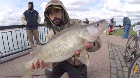 Detroit River Shore Walleye Limit Easy Walleye Fishing Day Youtube