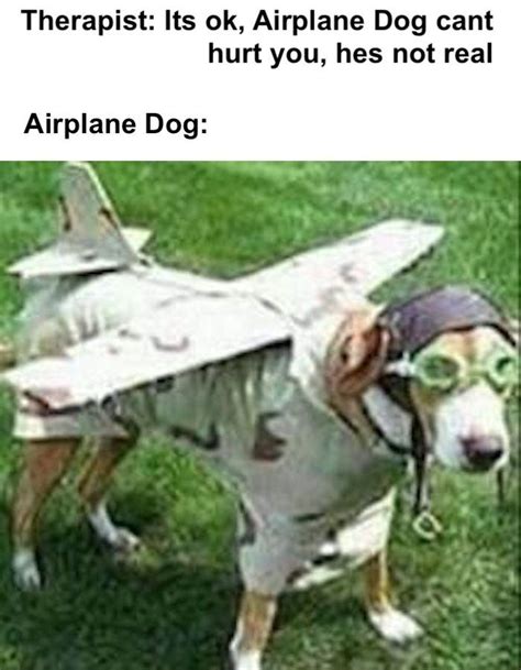 Airplane Dog Gives Me Nightmares Rmemes