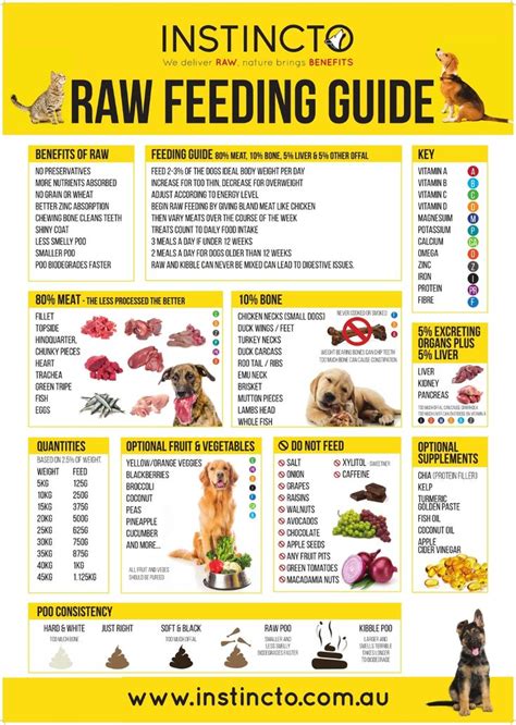 Freshpet Dog Feeding Chart