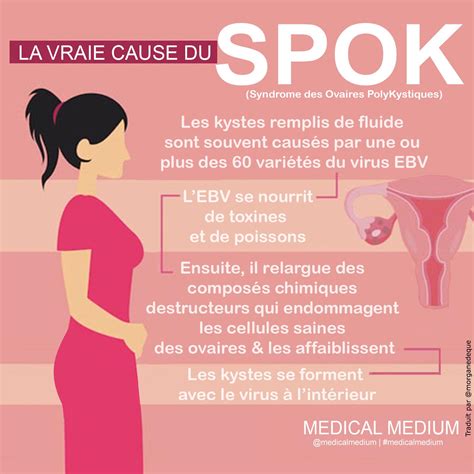 La V Ritable Cause Du Sopk Syndrome Des Ovaires Polykystiques Par