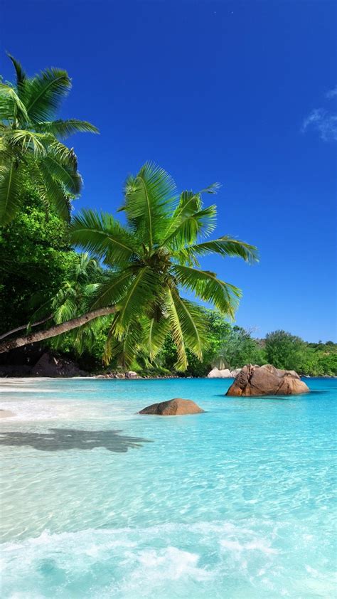 Tropical Beach Paradise Wallpapers Wallpaper Cave