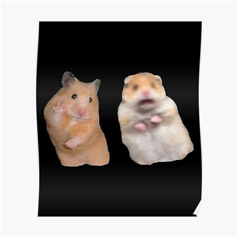Funny Meme Peace Sign And Screaming Hamster Poster For Sale By Memes