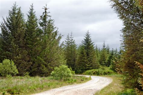 Forestry Road On Cefn Garw In Powys © Roger D Kidd Cc By Sa20