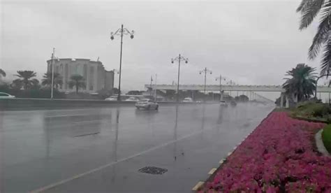 الأرصاد تحذر أمطار غزيرة وضباب يحجب الرؤية في بعض مناطق السعودية