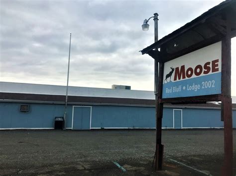 Red Bluff Moose Lodge looking for a new home – Red Bluff Daily News