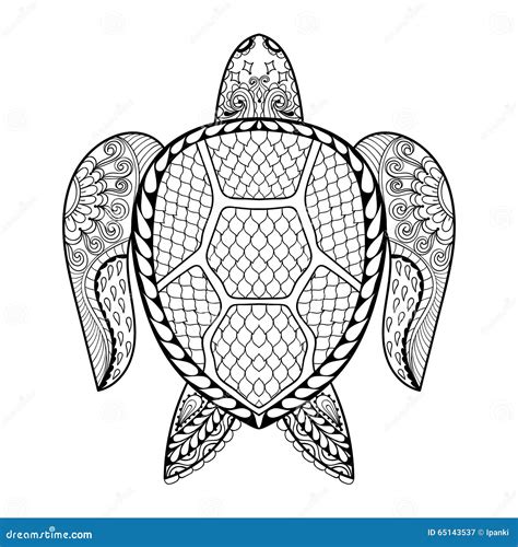 Zentangle Turtle Turtle Coloring Pages Turtle Drawing
