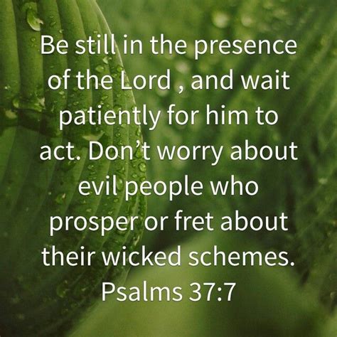 Psalms 377 Dont Worry About Evil People And Their Schemes Trust In