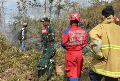 Peristiwa Kebakaran Hutan Dan Rumah Terjadi Di Ciamis Selama Tahun