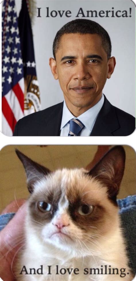 Grumpy Cat Knows Whats Up Tap The Link Now To See All Of Our Cool