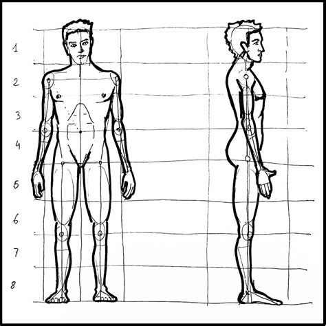 Cómo aprender a dibujar la Figura Humana y sus Proporciones (2022)