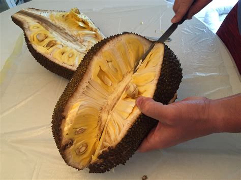 The inside part of the orange should be facing. How To Cut Up A Whole Jackfruit | Matlacha Wellness Center ...