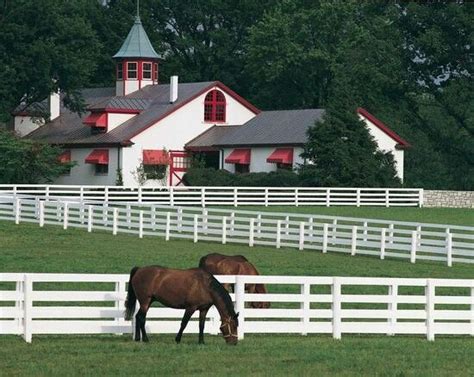 Horse Barn Kentucky Horse Farms Kentucky Horse Park Horse Farms