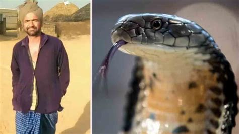 Snake Bites Man Twice వ్యక్తిని కాటేసిన పాము చికిత్స నుంచి