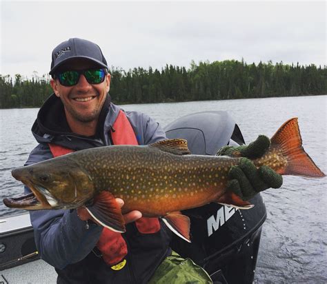 Brook Trout Fishing In Ontario Canada
