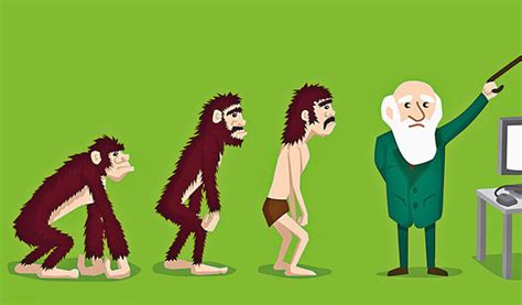 Top 158 Human Evolution Animation