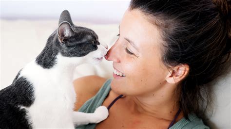 Why do cats attack feet so often? Why Does My Cat Lick Me? Learn More - Woman's World