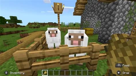 Answered What Do Sheep Eat In Minecraft And How To Breed Them