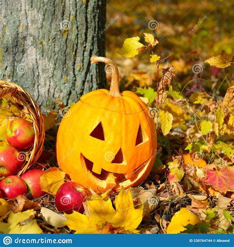 Halloween Pumpkin Head On A Stump In Front Of Forest Background