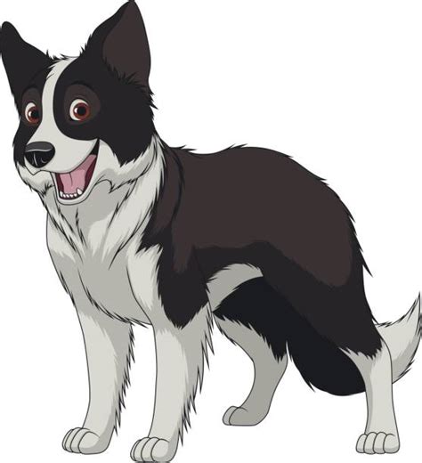 Border Collie Illustrations Royalty Free Vector Graphics And Clip Art