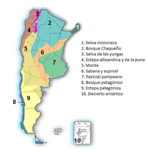 Identificación e información integral de las plantas. Biomas de Argentina - Trabajo para este segundo bimestre ...