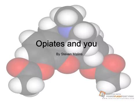 Ppt Opiates And You Powerpoint Presentation Free Download Id88230