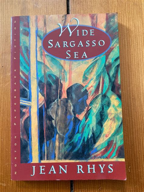 Wide Sargasso Sea Jean Rhys Norton Paperback 1992 Etsy Uk