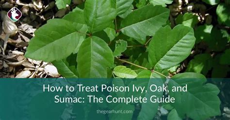 How To Treat Poison Ivy Oak And Sumac The Complete Guide