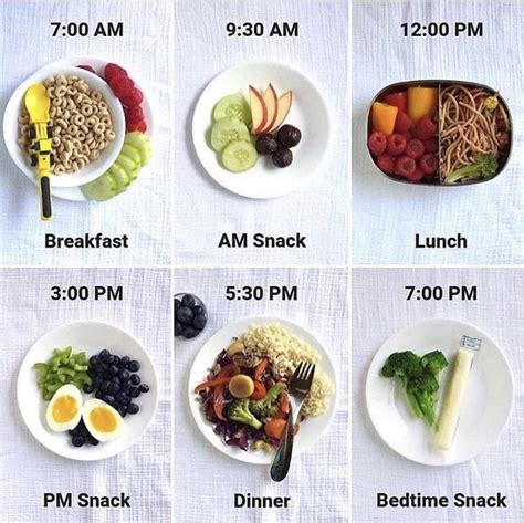 Healthy Meal Plan With All The Necessary Nutrients And Proteins To Have Energy The Whole Day And