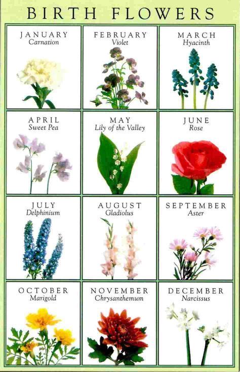 Pin By Margie Rayburn On Inspirations Birth Month Flowers Month