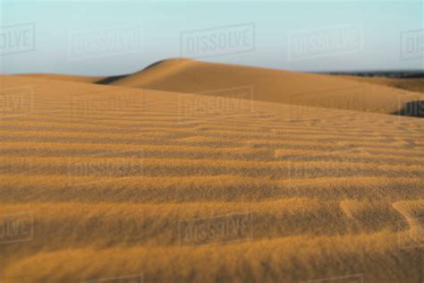 Sand Dunes In The Thar Desert Jaisalmer Rajasthan India Asia