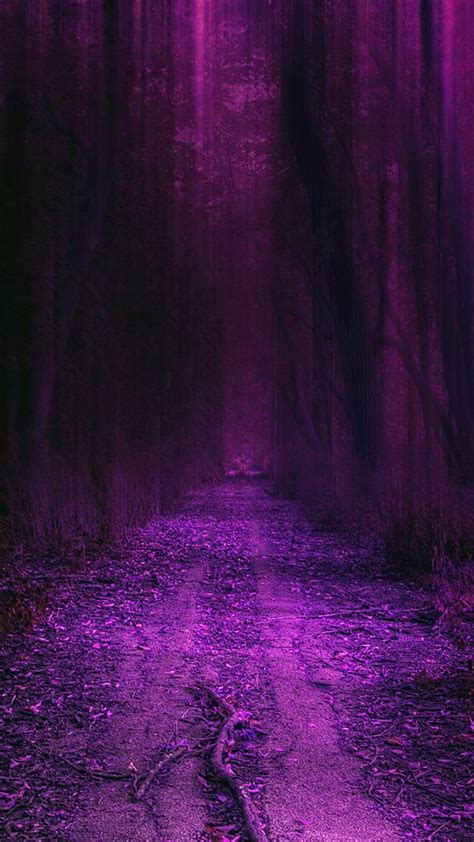 Purple Forest Natural Nature New Nice Trees Hd Phone Wallpaper
