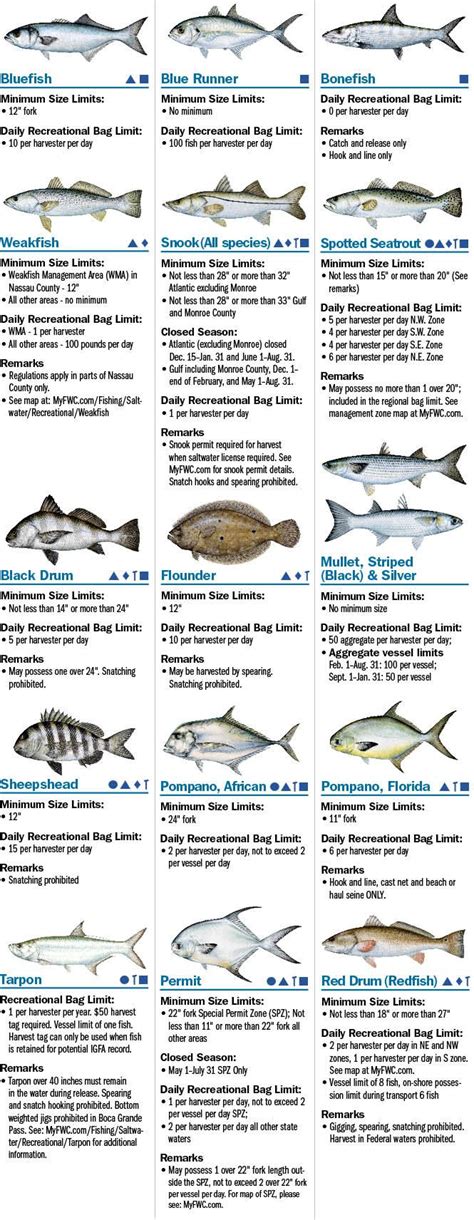 Sw Fish Id 9749091574 Florida Saltwater Fish Id 10th Edition