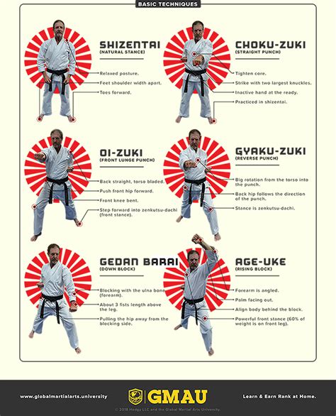The Complete Beginners Guide To Shotokan Karate Global Martial Arts