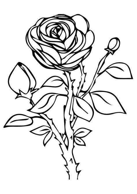 Download and print these simple flower coloring pages for free. Free Printable Rose Coloring Pages, Rose Coloring Pictures ...