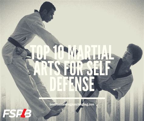 Martial Arts For Self Defense Best Freestanding Punching Bag
