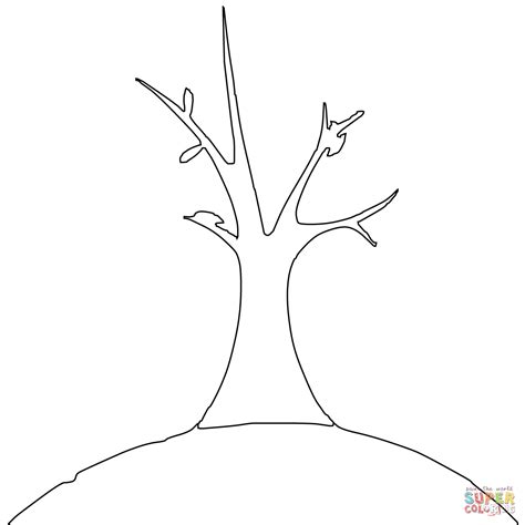 Bare Tree Coloring Page Free Printable Coloring Pages