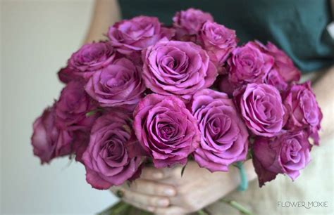 Blueberry Rose Muted Fuchsia Rose Pink Rose Burgundy Wedding Palette
