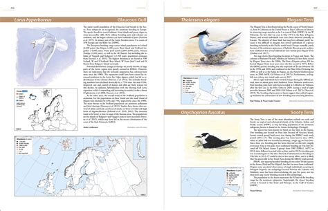 European Breeding Bird Atlas 2 Veldshopnl