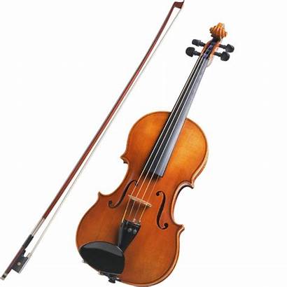 Violin Violins Viola Instrument Instruments Learning Musical