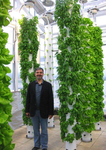 What to do if you want to grow vegetables at home but have very little space? New England Aeroponic Tower Gardens Look at the beautiful basil and Bibb lettuce after only 3 ...