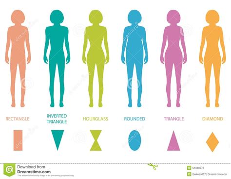 Female Silhouette Women Body Shapes Female Body Types Anatomywoman