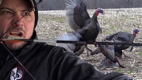 Gobblers Charge Decoy The Perfect Turkey Hunting Setup Bowhunting Com