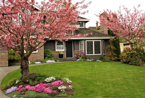 Front Yard With Dogwood Trees In Bloom Homeyou Trees For Front Yard