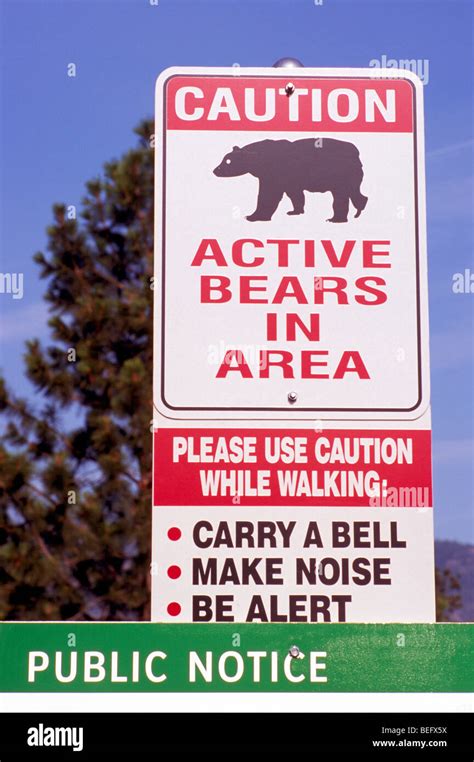 Bear Warning Sign Caution Signs Active Bears In Area Danger Alert