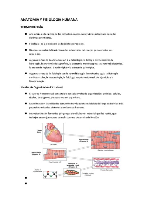 Anatomia Y Fisiologia Del Aparato Reproduc Mind Map