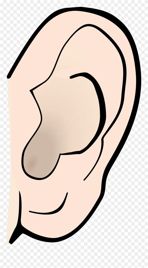 Ear Clip Art 17 Free Cliparts Download Images On Clipground 2023
